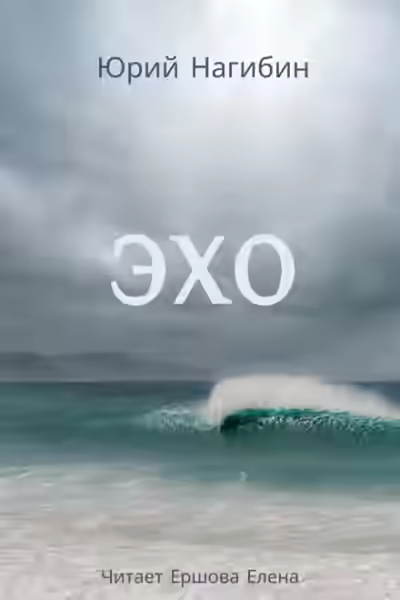 Аудиокнига Эхо — слушать онлайн бесплатно