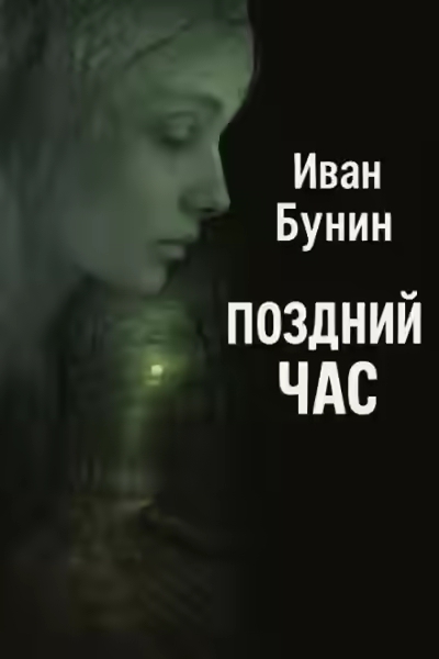 Аудиокнига Поздний час — слушать онлайн бесплатно
