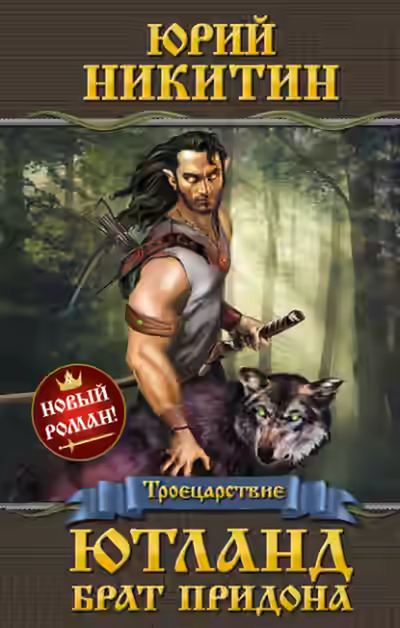 Аудиокнига Ютланд, брат Придона — слушать онлайн бесплатно