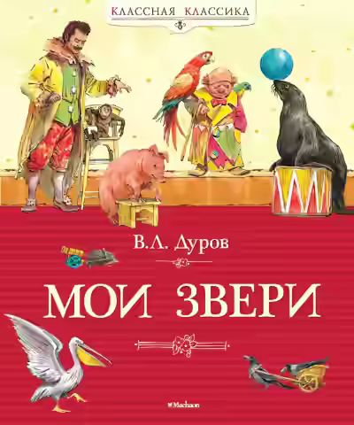 Аудиокнига Мои звери — слушать онлайн бесплатно