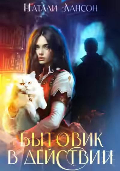 Аудиокнига Бытовик в действии — слушать онлайн бесплатно