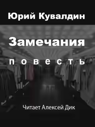 Аудиокнига Замечания — слушать онлайн бесплатно