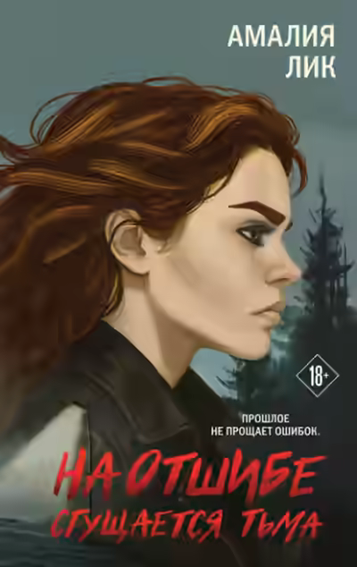 Аудиокнига На отшибе сгущается тьма — слушать онлайн бесплатно