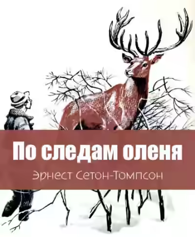 Аудиокнига По следам оленя — слушать онлайн бесплатно