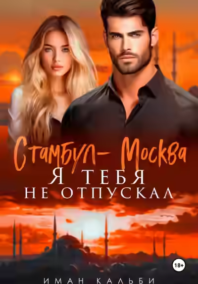 Аудиокнига Стамбул-Москва. Я тебя не отпускал — слушать онлайн бесплатно