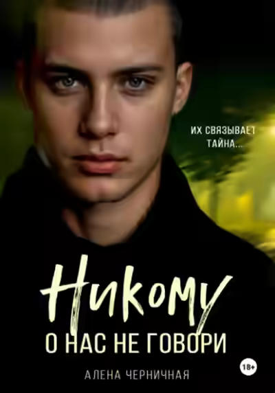Аудиокнига Никому о нас не говори — слушать онлайн бесплатно