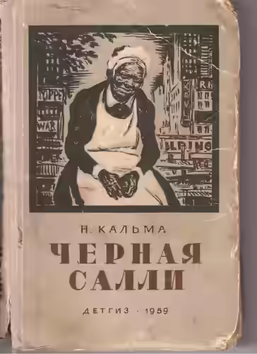 Аудиокнига Чёрная Салли — слушать онлайн бесплатно