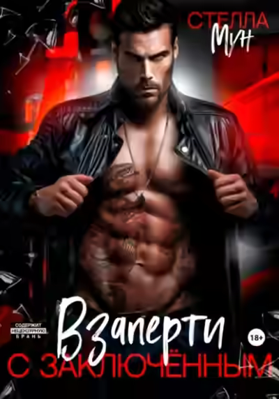 Аудиокнига Взаперти с заключенным — слушать онлайн бесплатно