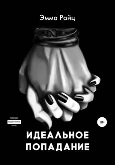 Аудиокнига Идеальное попадание — слушать онлайн бесплатно