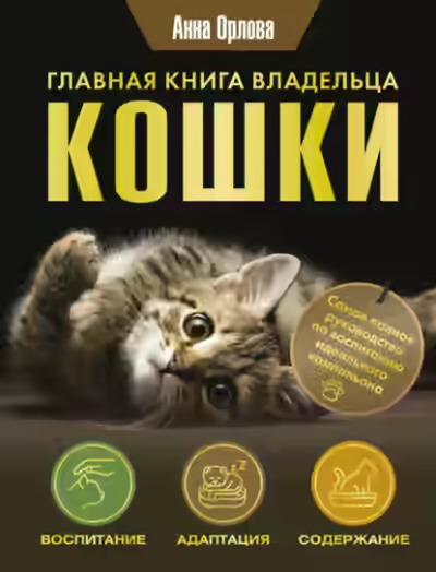 Аудиокнига Главная книга владельца кошки — слушать онлайн бесплатно