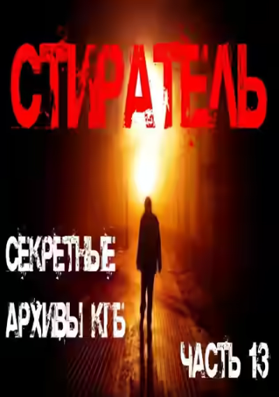 Аудиокнига Стиратель — слушать онлайн бесплатно