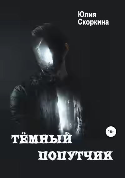 Аудиокнига Темный попутчик — слушать онлайн бесплатно