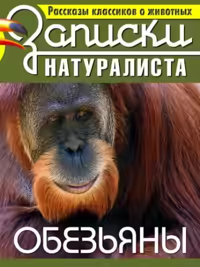 Аудиокнига Рассказы классиков о животных. Обезьяны — слушать онлайн бесплатно