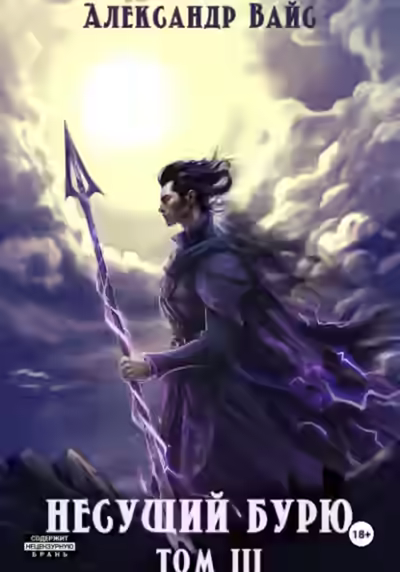 Аудиокнига Несущий бурю. Том III — слушать онлайн бесплатно