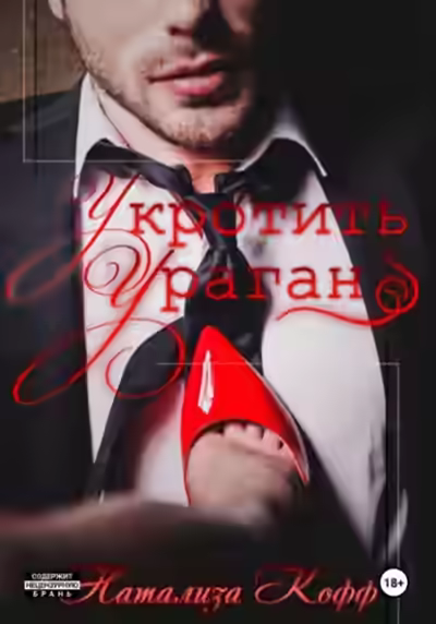 Аудиокнига Укротить ураган — слушать онлайн бесплатно
