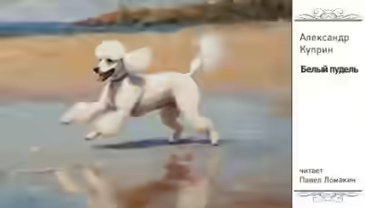 Аудиокнига Белый пудель — слушать онлайн бесплатно