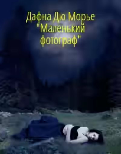 Аудиокнига Маленький фотограф — слушать онлайн бесплатно