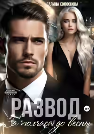 Аудиокнига Развод. За полчаса до весны — слушать онлайн бесплатно