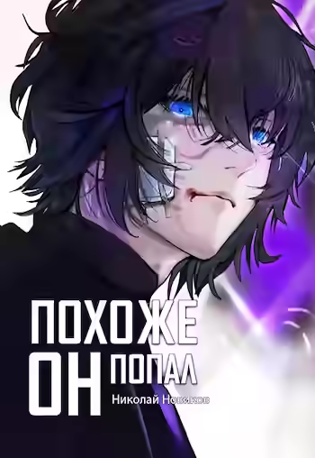 Аудиокнига Похоже, он попал. Книга 4 — слушать онлайн бесплатно