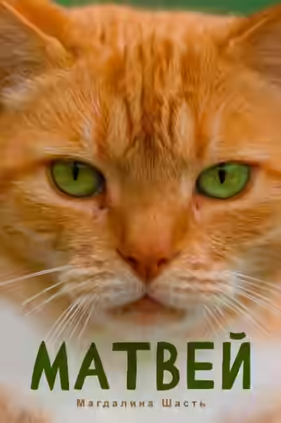 Аудиокнига Матвей — слушать онлайн бесплатно