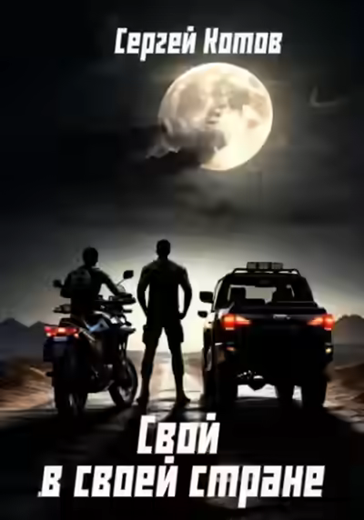 Аудиокнига Свой в своей стране — слушать онлайн бесплатно