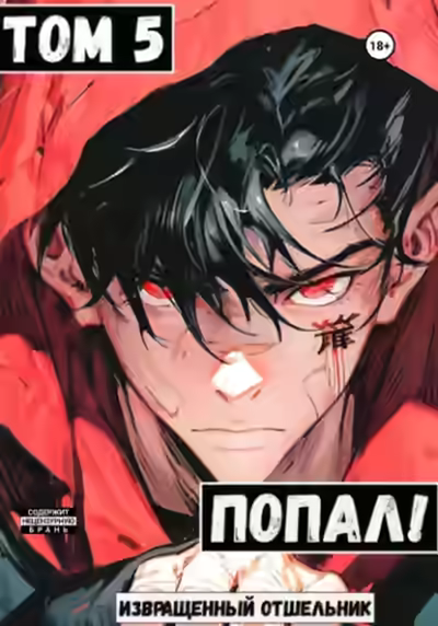 Аудиокнига Попал! Том 5 — слушать онлайн бесплатно