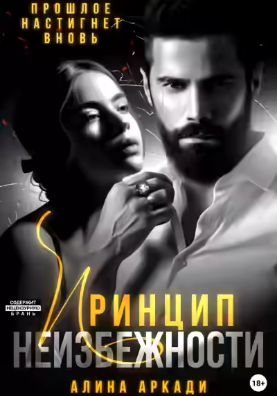 Аудиокнига Принцип неизбежности — слушать онлайн бесплатно