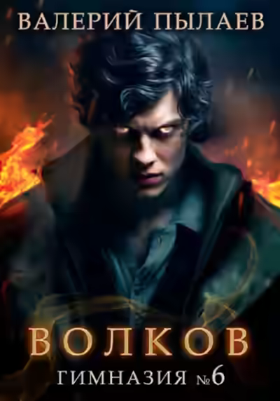 Аудиокнига Гимназия №6 — слушать онлайн бесплатно