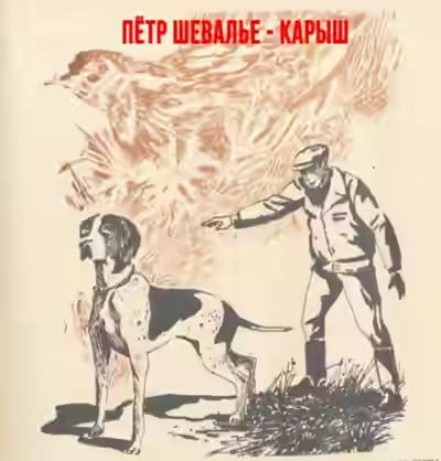 Аудиокнига Карыш — слушать онлайн бесплатно