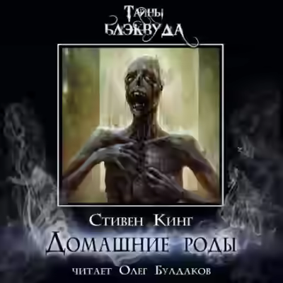 Аудиокнига Домашние роды — слушать онлайн бесплатно