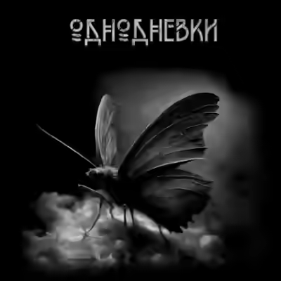 Аудиокнига Однодневки — слушать онлайн бесплатно