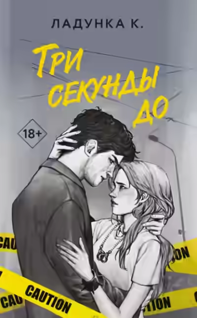 Аудиокнига Три секунды до — слушать онлайн бесплатно
