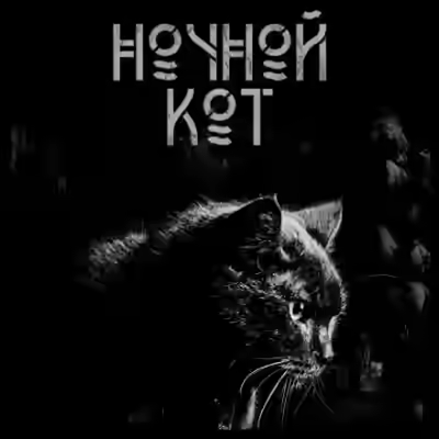 Аудиокнига Ночной кот — слушать онлайн бесплатно