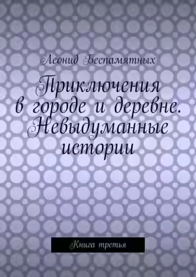 Аудиокнига Приключения в городе и деревне. Невыдуманные истории — слушать онлайн бесплатно