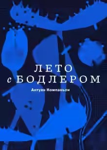 Аудиокнига Лето с Бодлером — слушать онлайн бесплатно