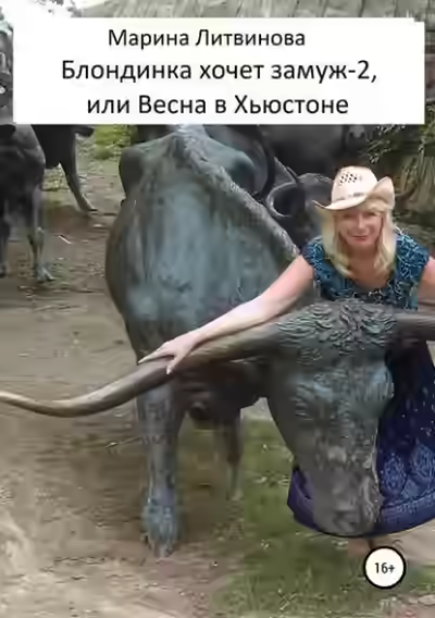 Аудиокнига Блондинка хочет замуж-2, или Весна в Хьюстоне — слушать онлайн бесплатно
