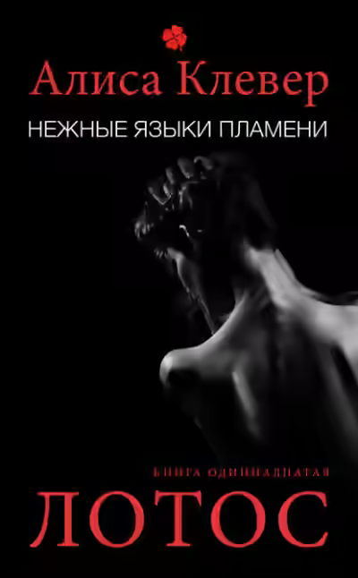 Обложка цикла Полночь по парижскому времени