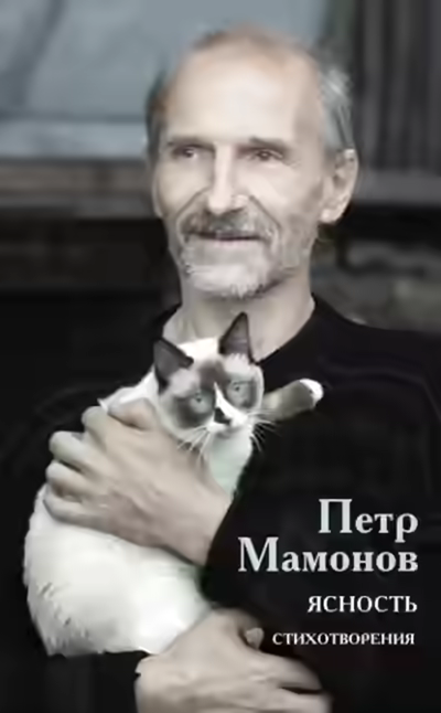 Аудиокнига Ясность — слушать онлайн бесплатно