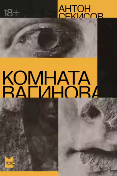 Аудиокнига Комната Вагинова — слушать онлайн бесплатно