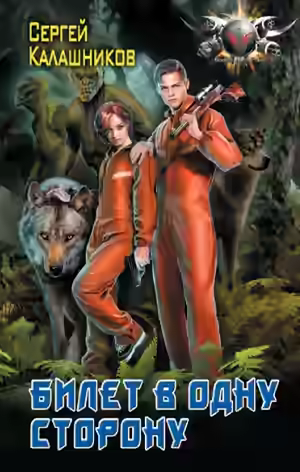 Аудиокнига Билет в одну сторону — слушать онлайн бесплатно