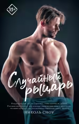 Аудиокнига Случайный рыцарь — слушать онлайн бесплатно