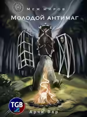 Аудиокнига Меж миров. Молодой антимаг — слушать онлайн бесплатно