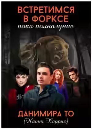 Аудиокнига Встретимся в Форксе, пока полнолуние… — слушать онлайн бесплатно