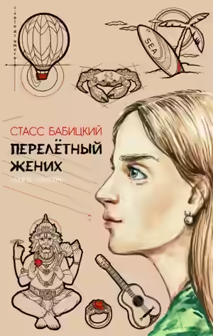 Обложка цикла Перелетный жених