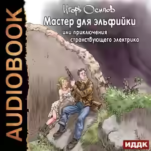 Аудиокнига Мастер для эльфийки, или приключения странствующего электрика — слушать онлайн бесплатно