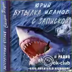 Аудиокнига Бутылка с запиской — слушать онлайн бесплатно