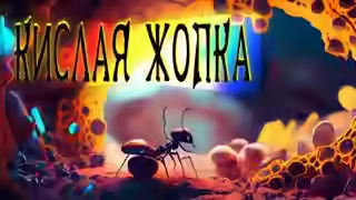 Аудиокнига Кислая жопка — слушать онлайн бесплатно