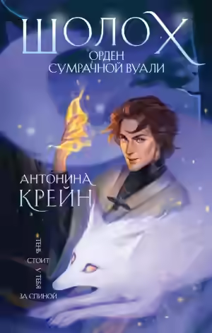 Аудиокнига Орден Сумрачной Вуали — слушать онлайн бесплатно