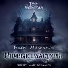 Аудиокнига Ночные пластуны — слушать онлайн бесплатно