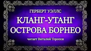 Аудиокнига Кланг-утанг острова Борнео — слушать онлайн бесплатно